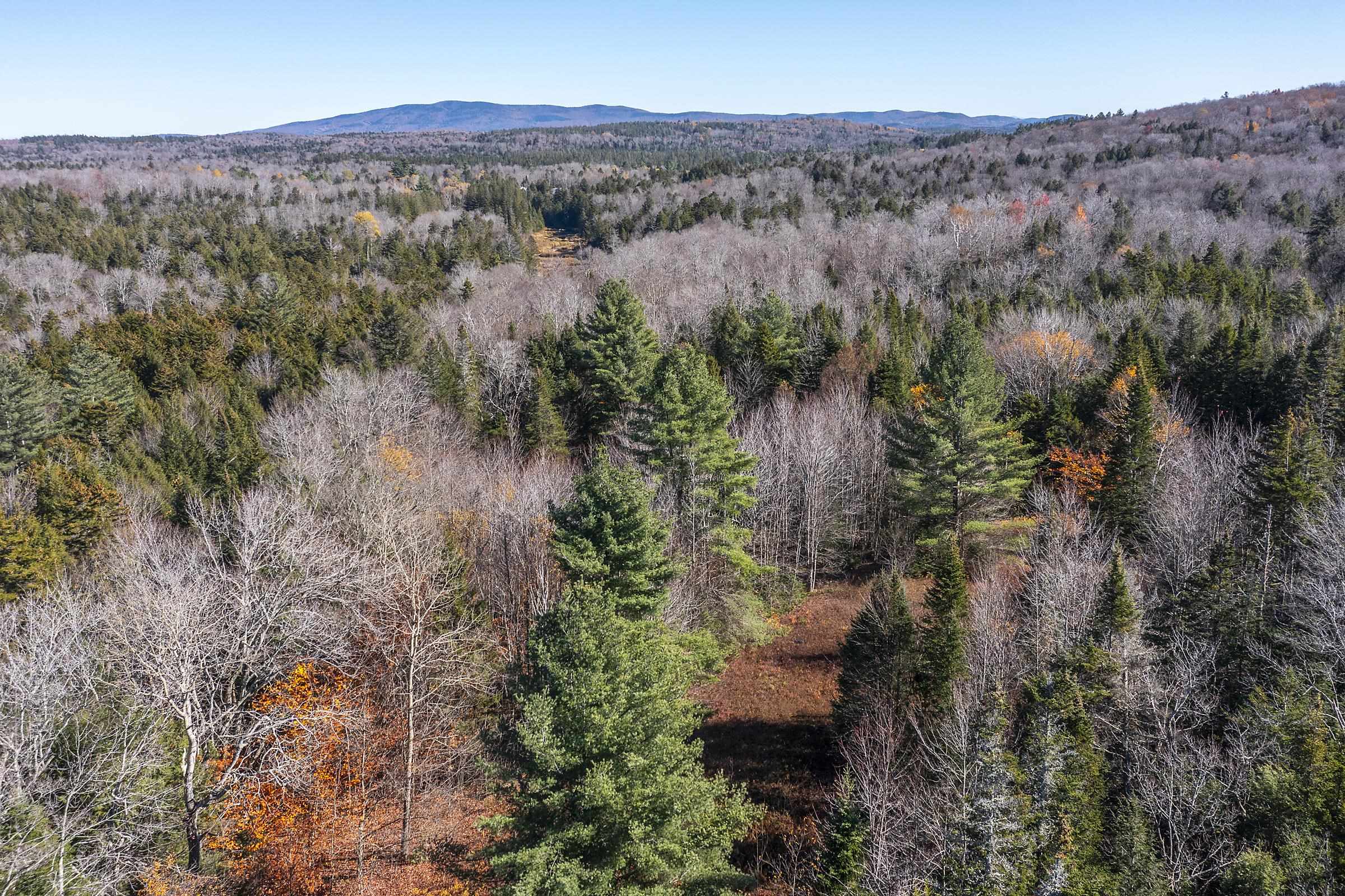 0 Ross Road Winhall, VT 05340 - Photo 15 of 25