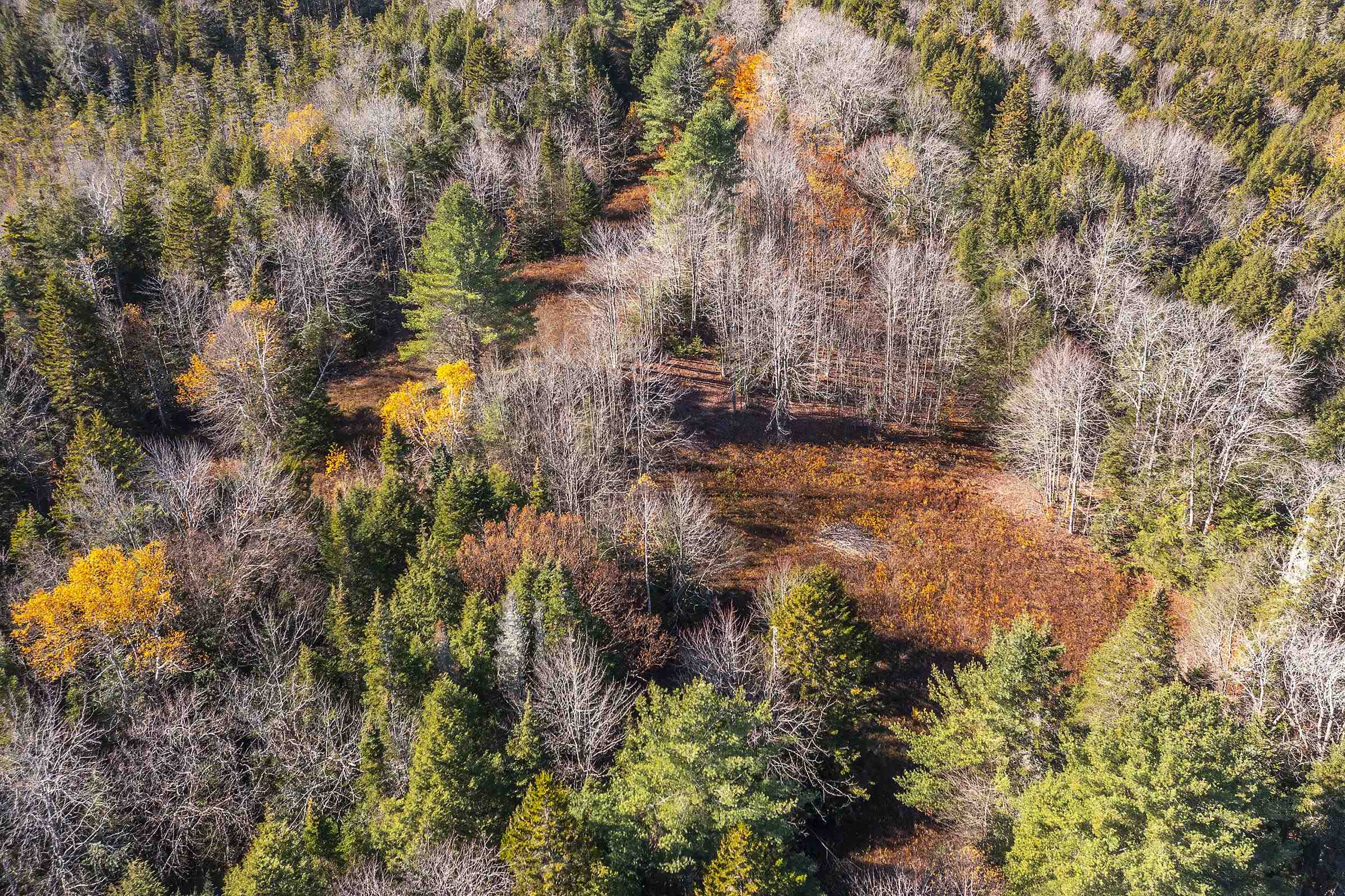 0 Ross Road Winhall, VT 05340 - Photo 18 of 25