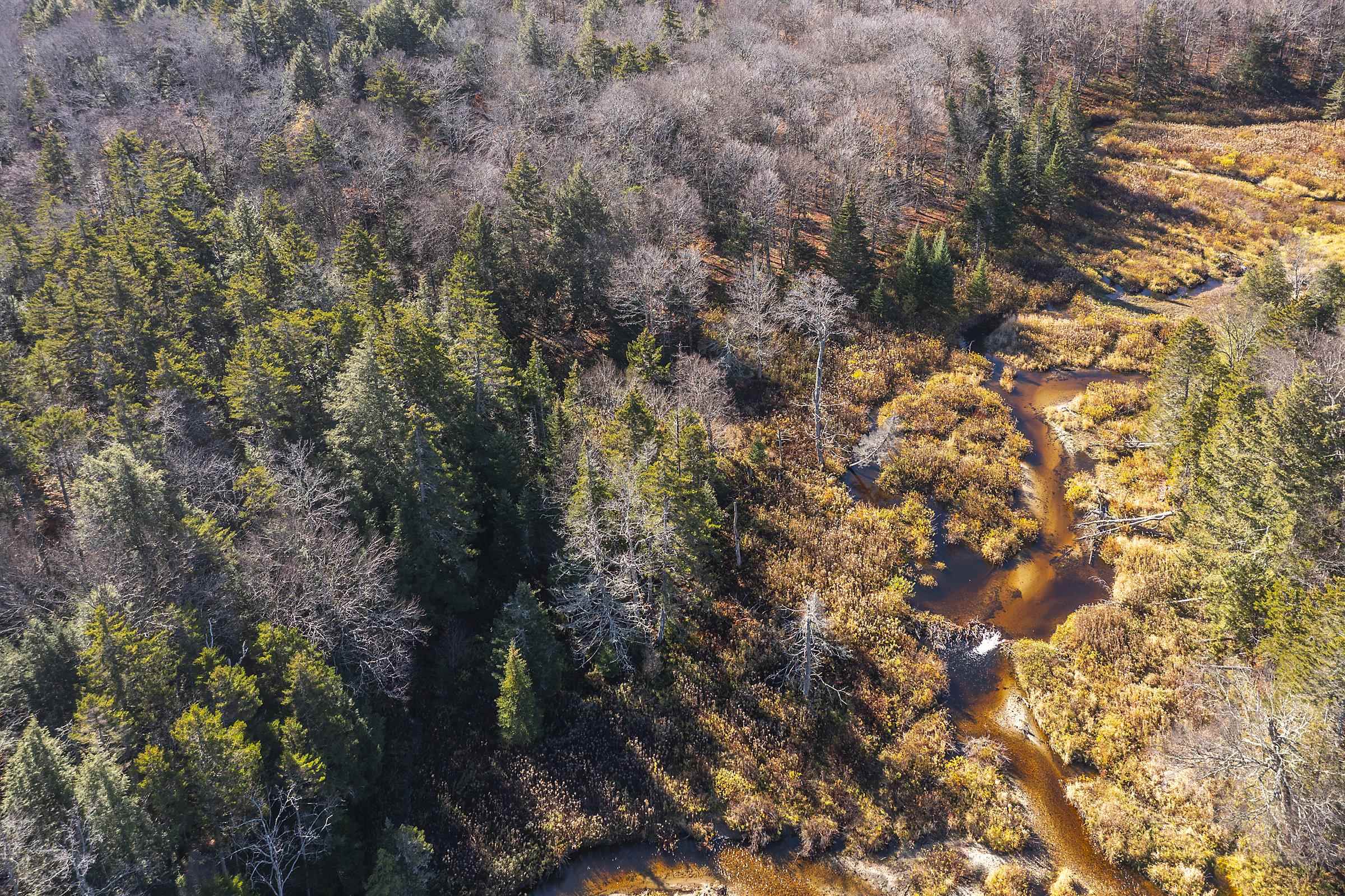 0 Ross Road Winhall, VT 05340 - Photo 25 of 25