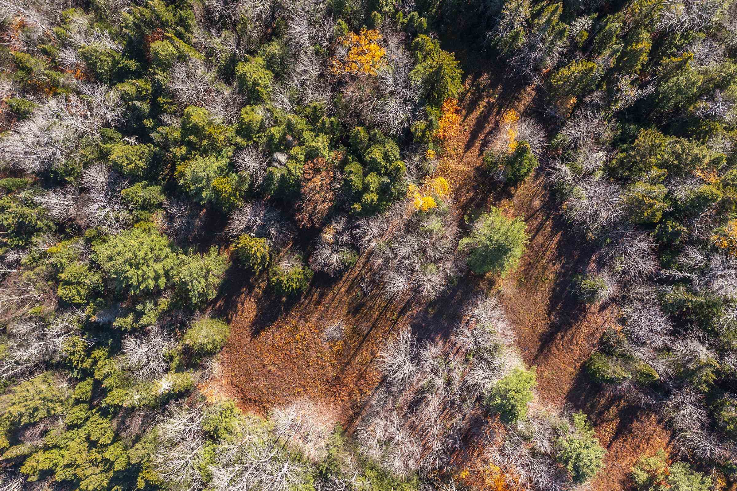 0 Ross Road Winhall, VT 05340 - Photo 6 of 25