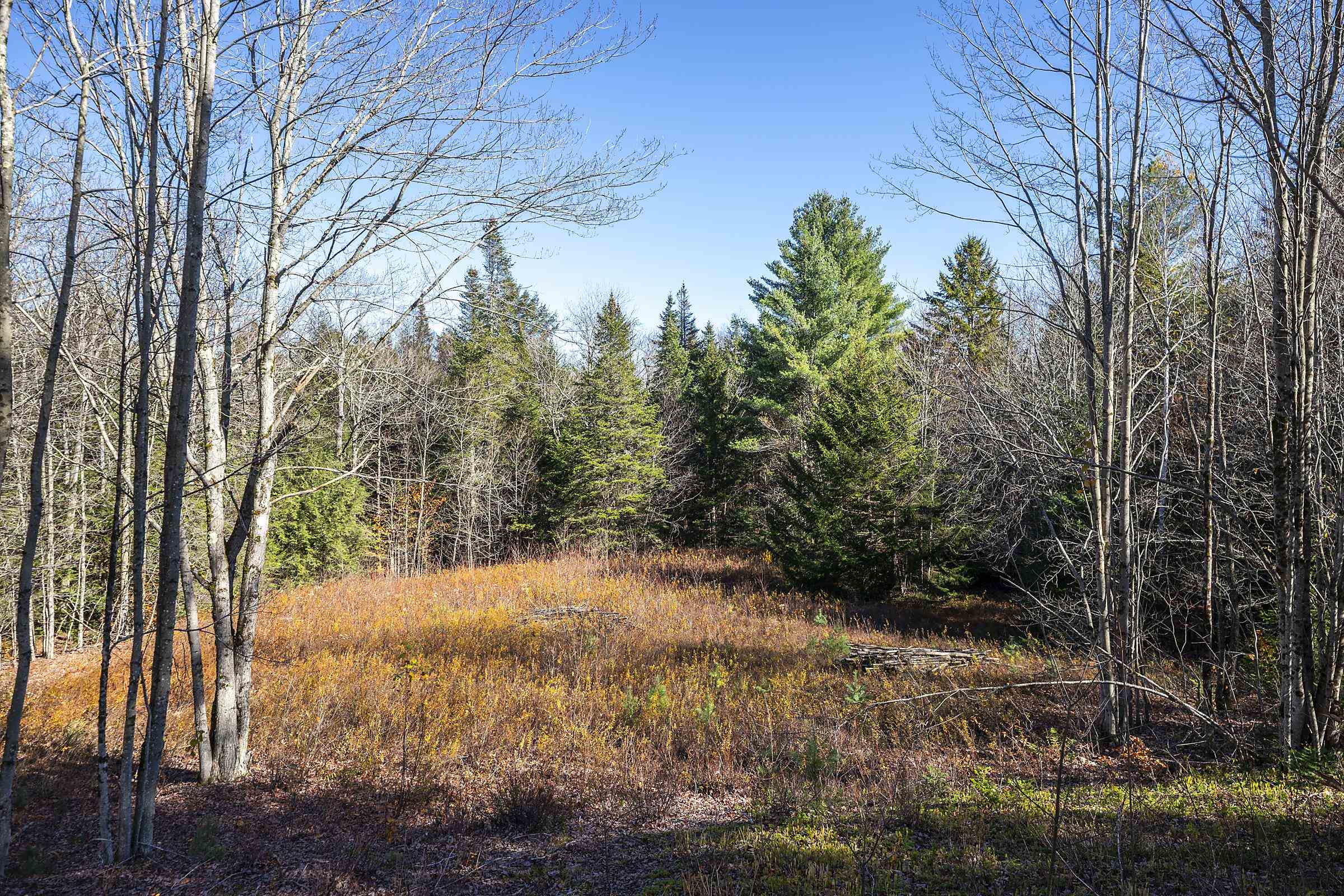 0 Ross Road Winhall, VT 05340 - Photo 9 of 25