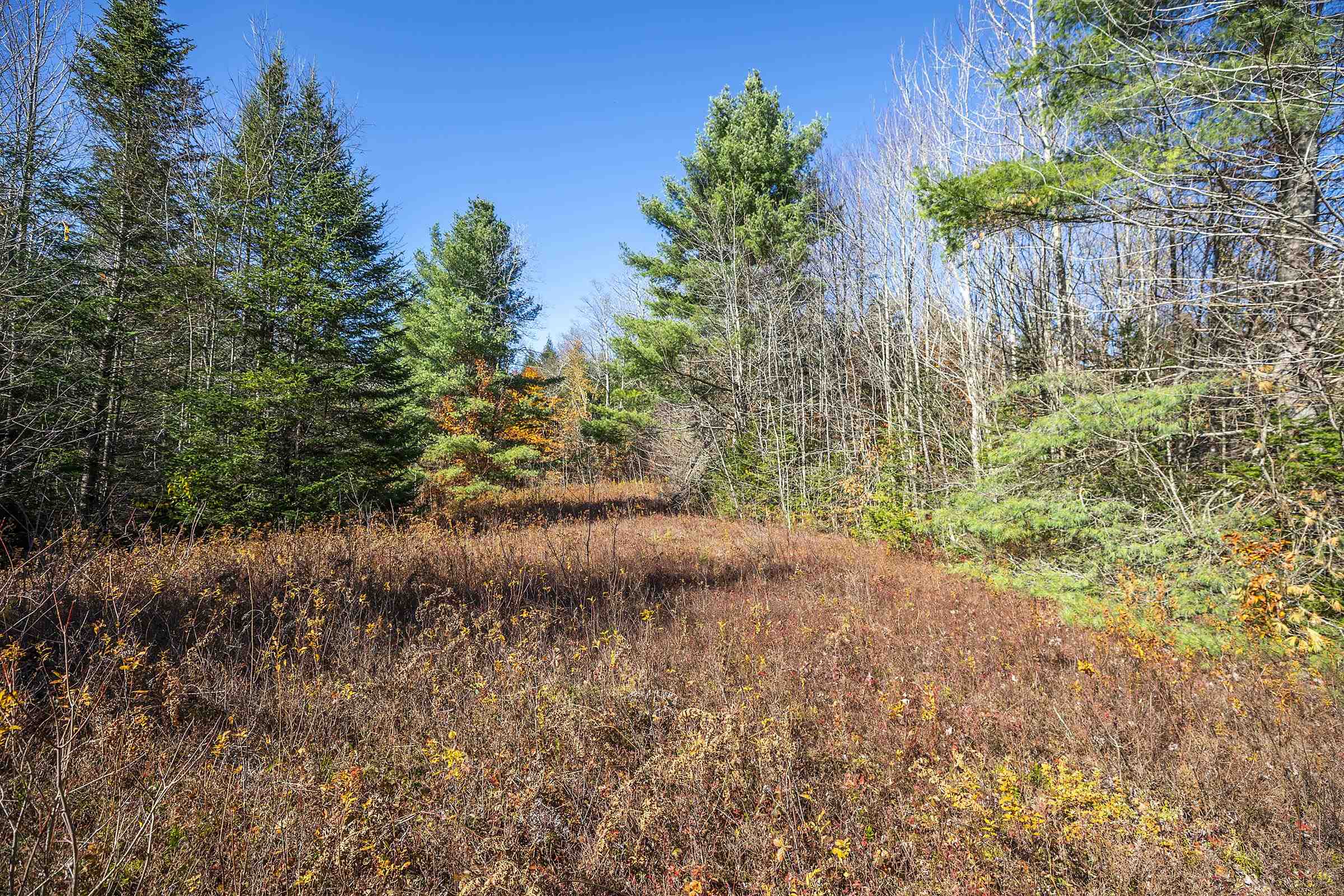 0 Ross Road Winhall, VT 05340 - Photo 10 of 25