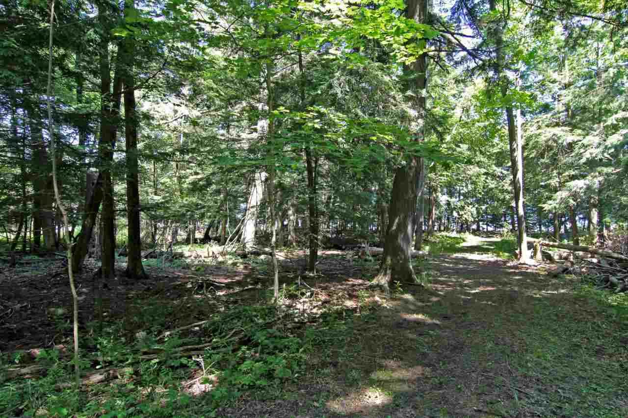 5044 Omena Point Road Omena, MI 49674 - Photo 7 of 44 1835774-6.JPG