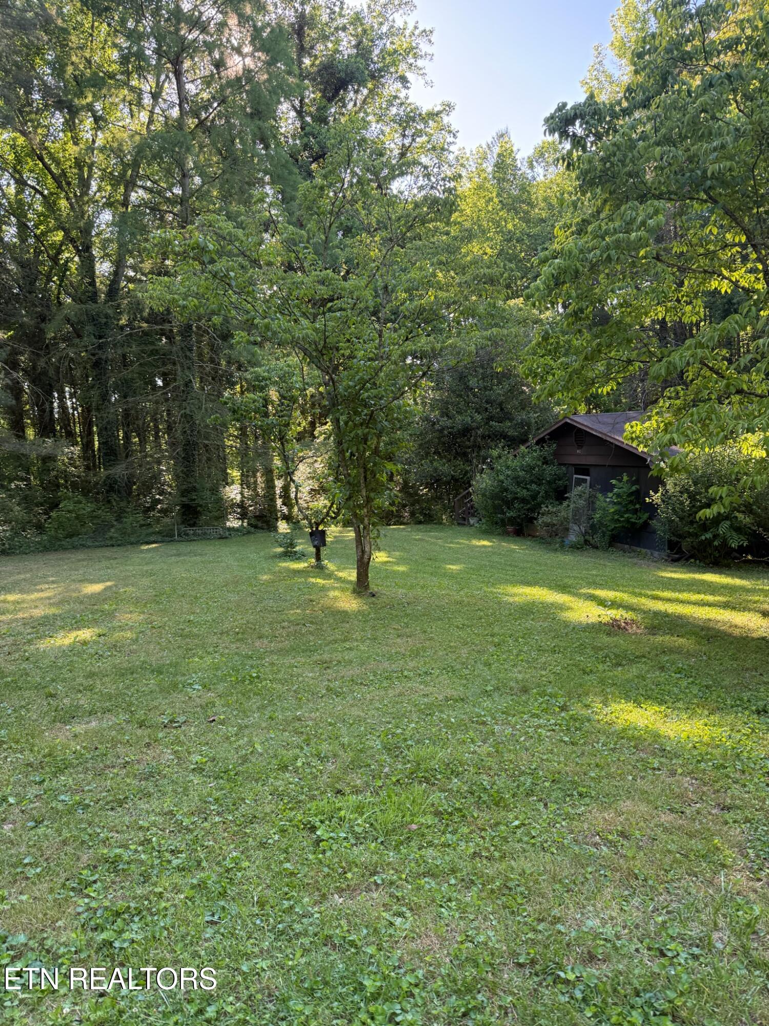 992 Chicken Hollow Road Newport, TN 37821 - Photo 6 of 37 IMG_0128