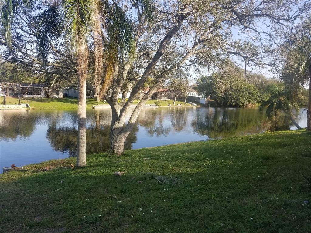 2075 North Keene Road Clearwater, FL 33755 - Photo 29 of 31 a backyard of a house with lots of green space and lake view