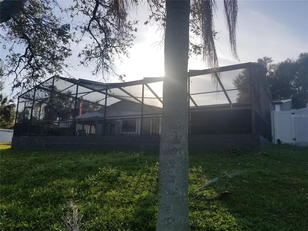 2075 North Keene Road Clearwater, FL 33755 - Photo 30 of 31 a view of yard with green space