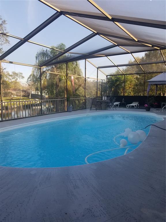 2075 North Keene Road Clearwater, FL 33755 - Photo 31 of 31 a view of a backyard