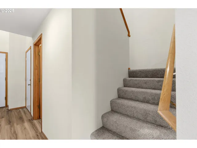 a living room with a couch and a potted plant