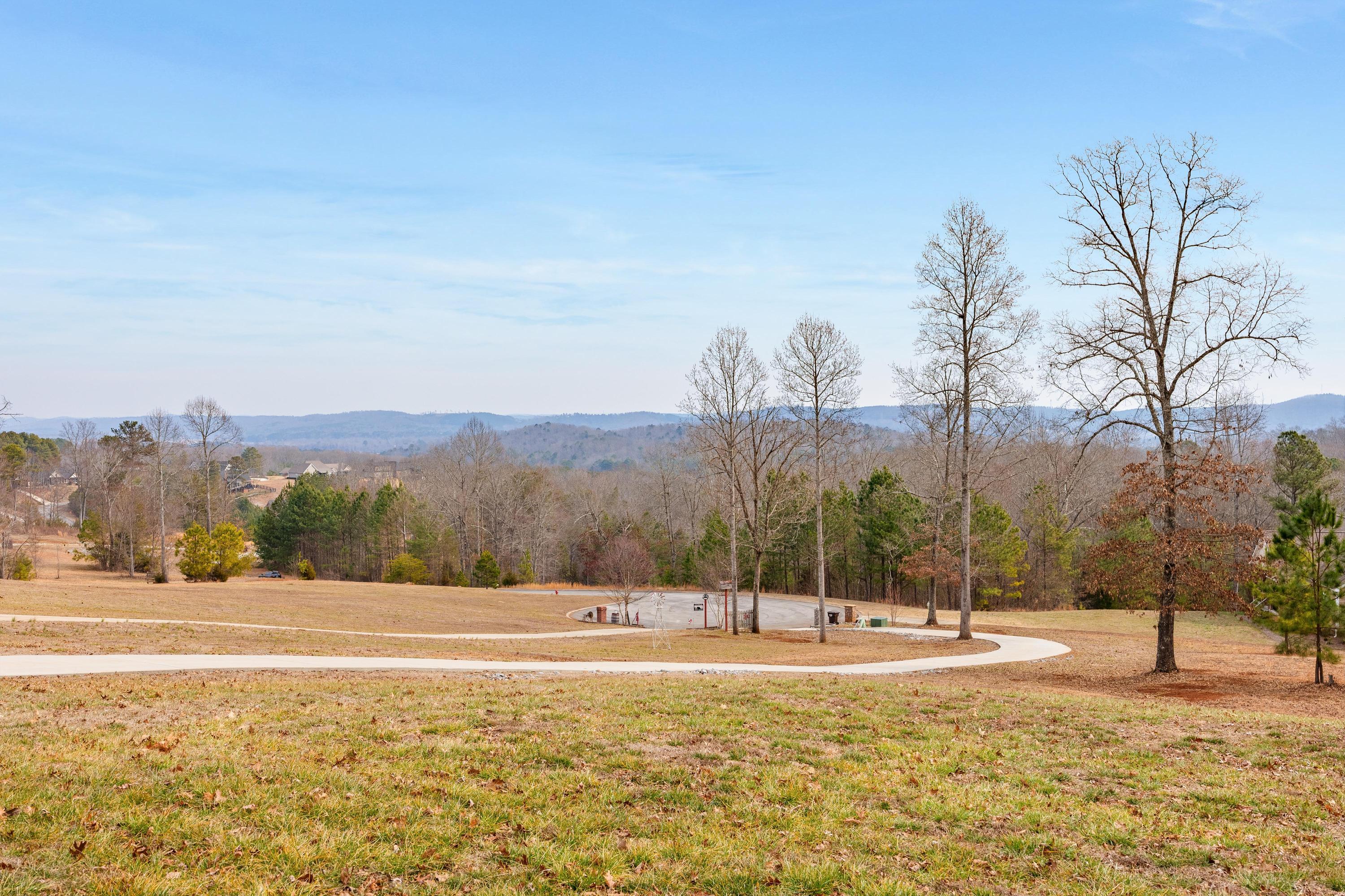 190 Scenic View Drive Georgetown, TN 37336 - Photo 3 of 27 3
