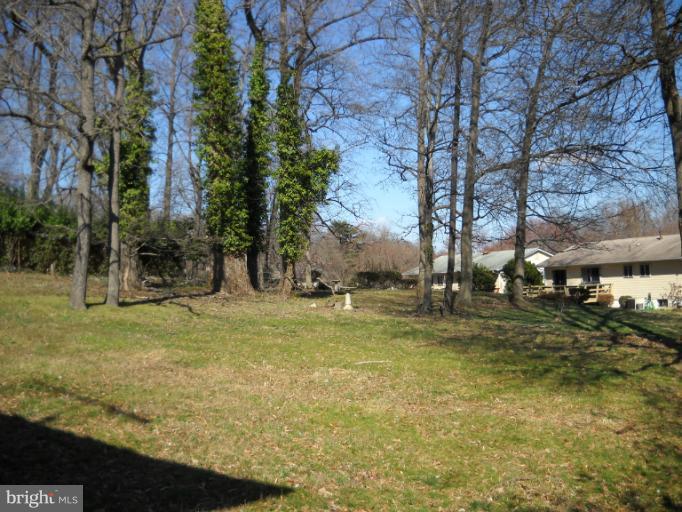 4505 Kinmount Road Lanham, MD 20706 - Photo 3 of 4 a backyard of a building with trees