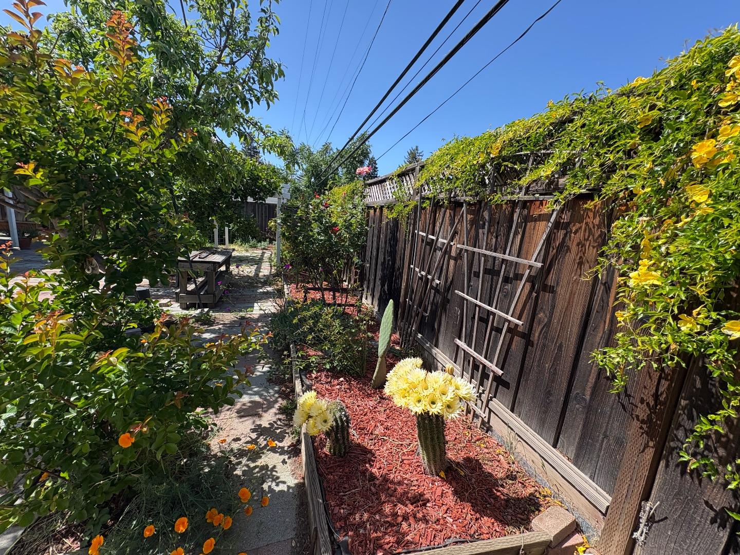 5187 Doyle Road San Jose, CA 95129 - Photo 34 of 39 a view of an outdoor seating area