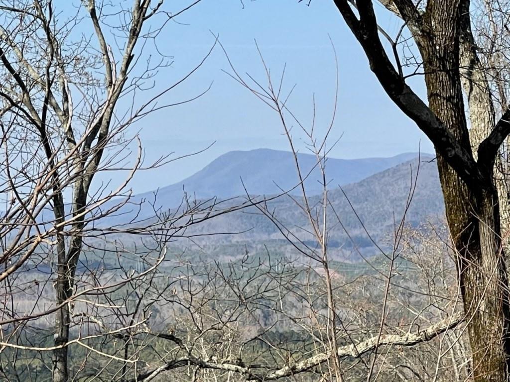 278 Carters Overlook Drive Ranger, GA 30734 - Photo 2 of 17 Gallery Image 2