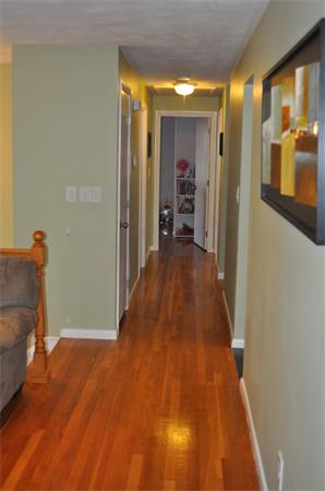 5 Phelps Road Framingham, MA 01702 - Photo 8 of 30 Gallery Image 8