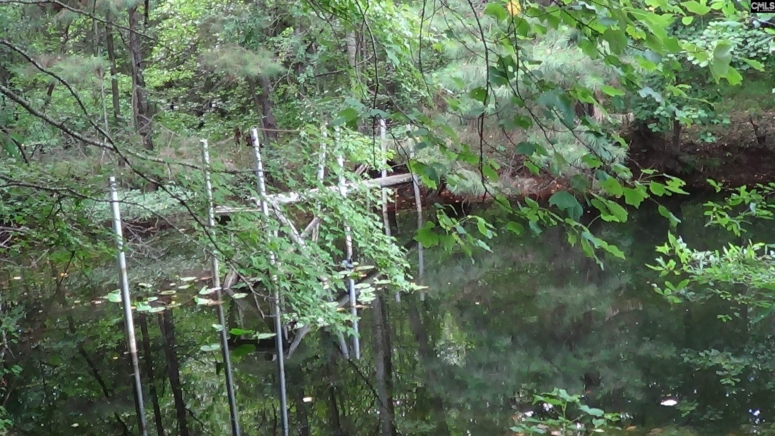 2815 Highway 1 Elgin, SC 29045 - Photo 12 of 17