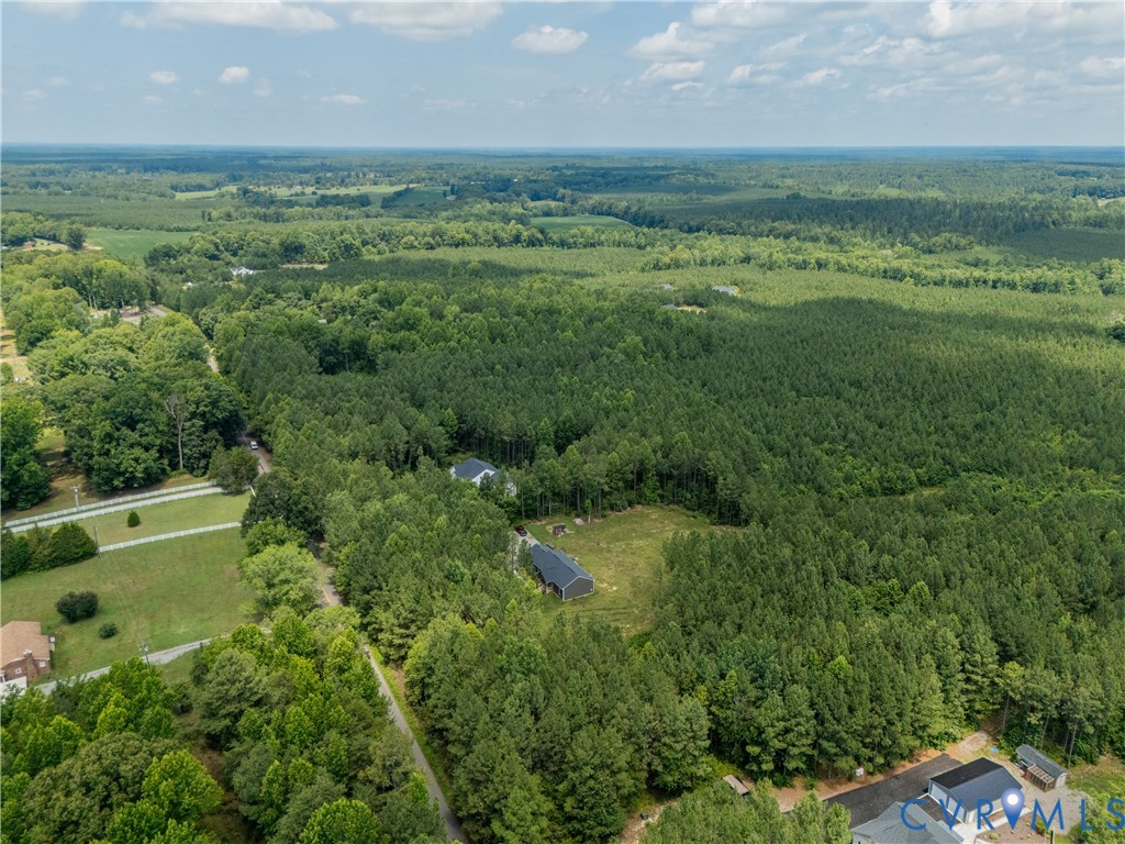 16390 Tyler Station Road Beaverdam, VA 23015 - Photo 40 of 46