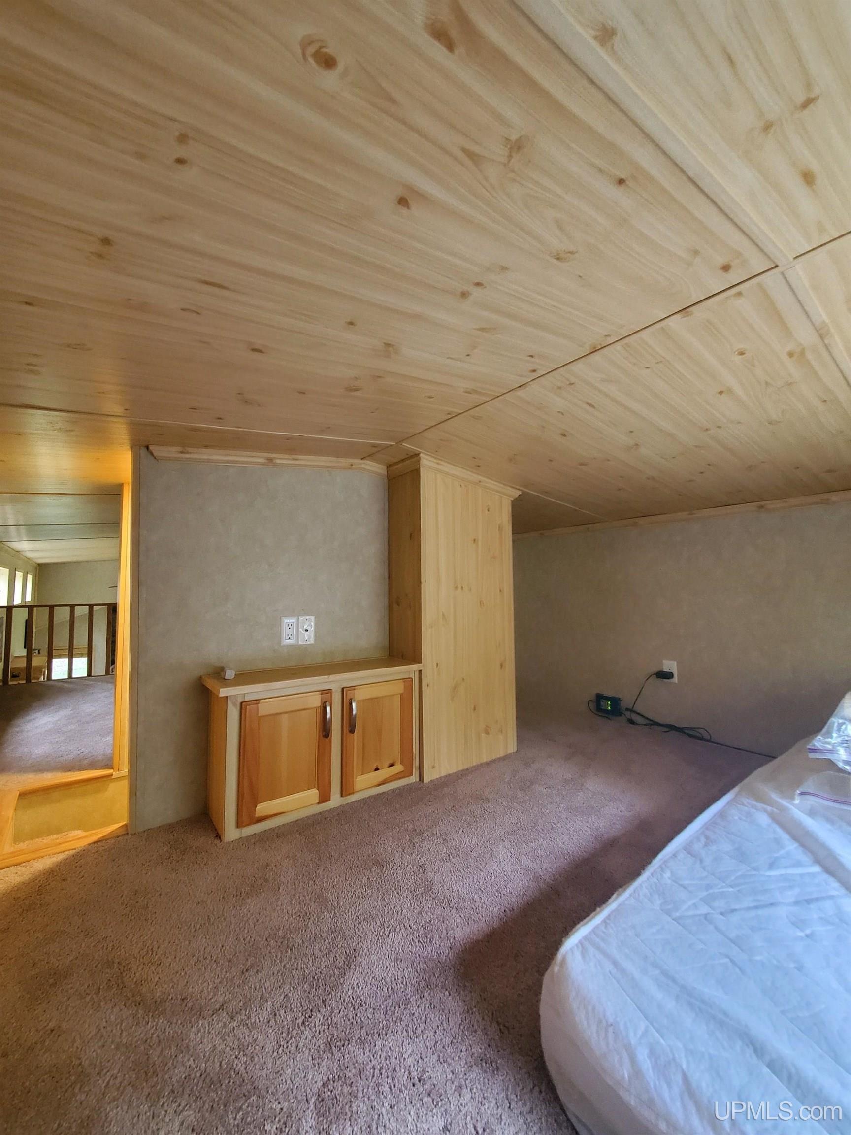 E4381 23 Road Chatham, MI 49816 - Photo 22 of 59