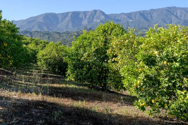 $17,900,000 | 249 Lambert Road, Carpinteria, CA 93013