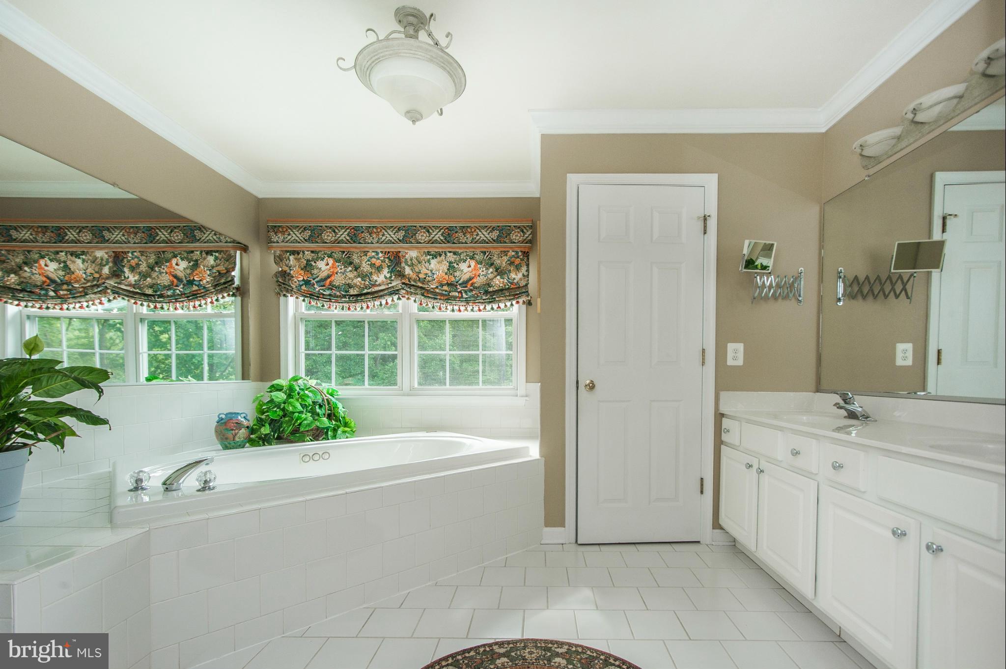 14415 Misty Valley Road Phoenix, MD 21131 - Photo 13 of 30 Bath (Master)