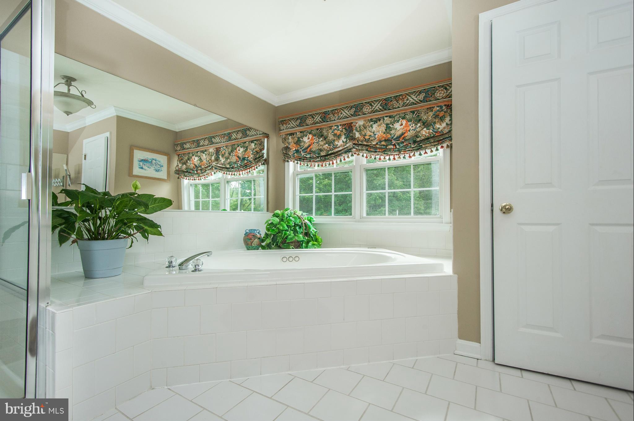14415 Misty Valley Road Phoenix, MD 21131 - Photo 14 of 30 Bath (Master)