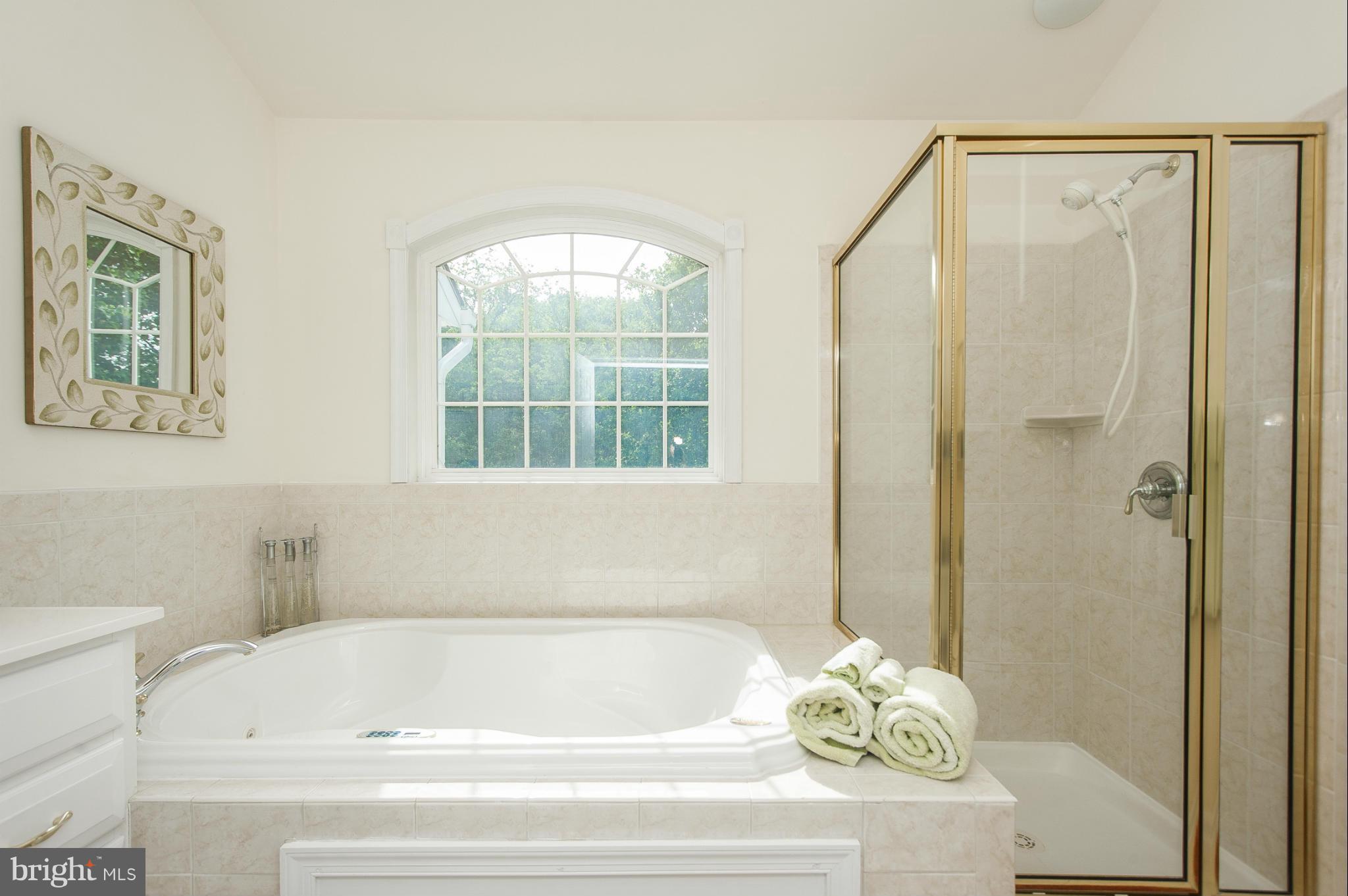 14415 Misty Valley Road Phoenix, MD 21131 - Photo 17 of 30 Bath