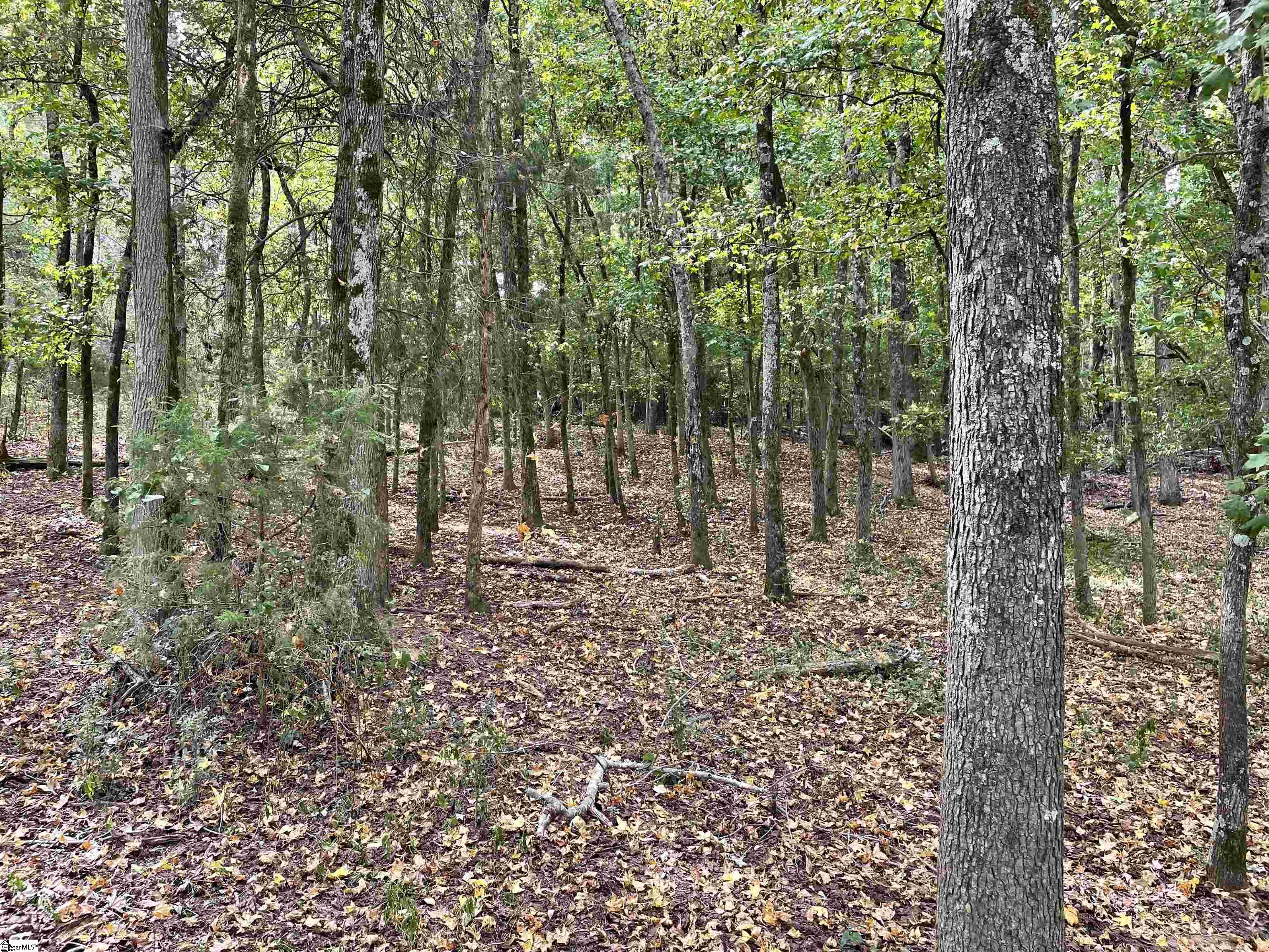 0 South S Highway Starr, SC 29684 - Photo 5 of 29