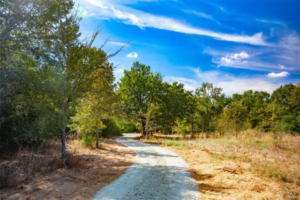 a view of a yard with a tree
