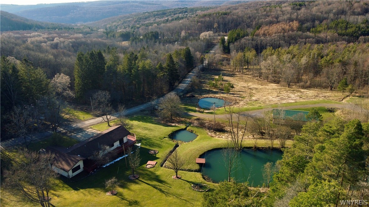 7044 Crane Road Ellicottville, NY 14731 - Photo 46 of 50