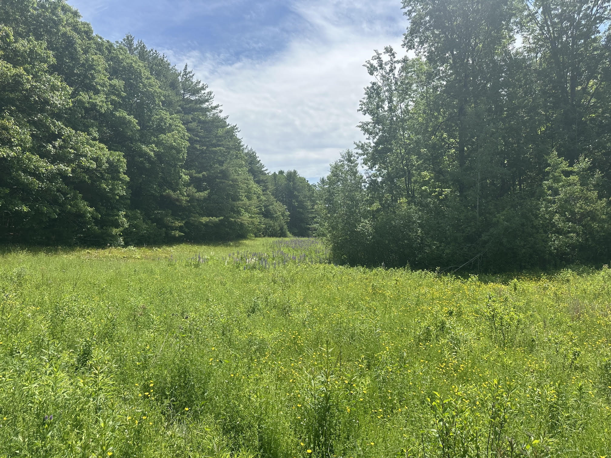 37 Herrick Road Belfast, ME 04915 - Photo 7 of 14 8
