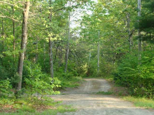 281 Sheffield Hill Road Exeter, RI 02822 - Photo 4 of 13 Land. The driveway looking out from the front of the house