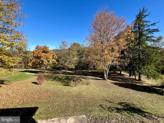 a view of a wooden floor with a yard