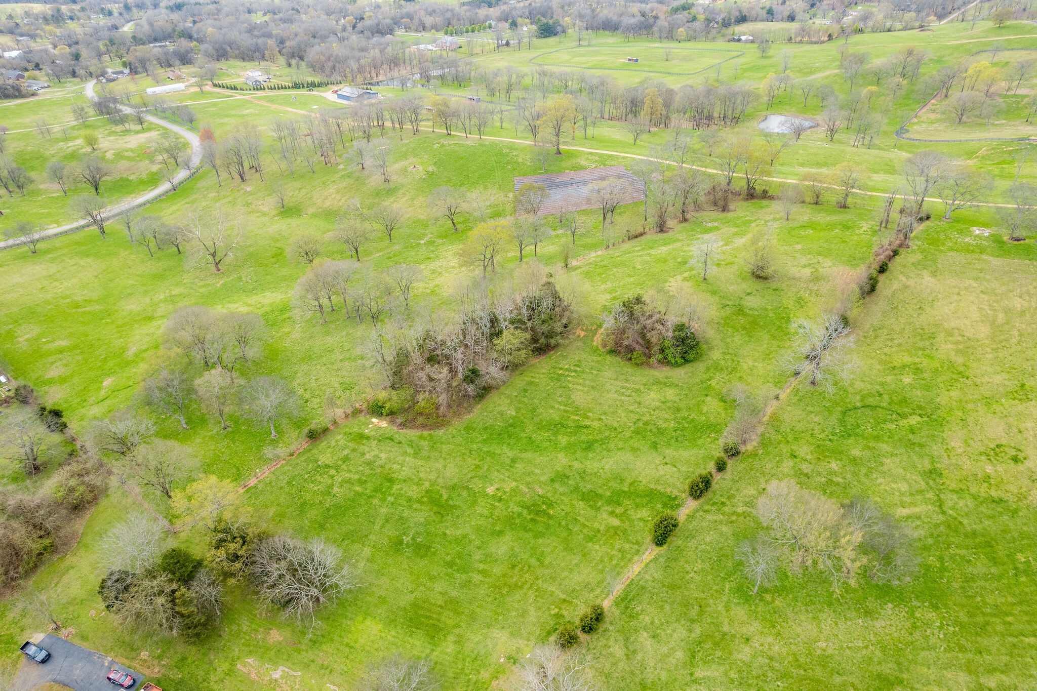 1303 John Sharp Road Columbia, TN 38401 - Photo 42 of 53 a view of a big yard with large trees