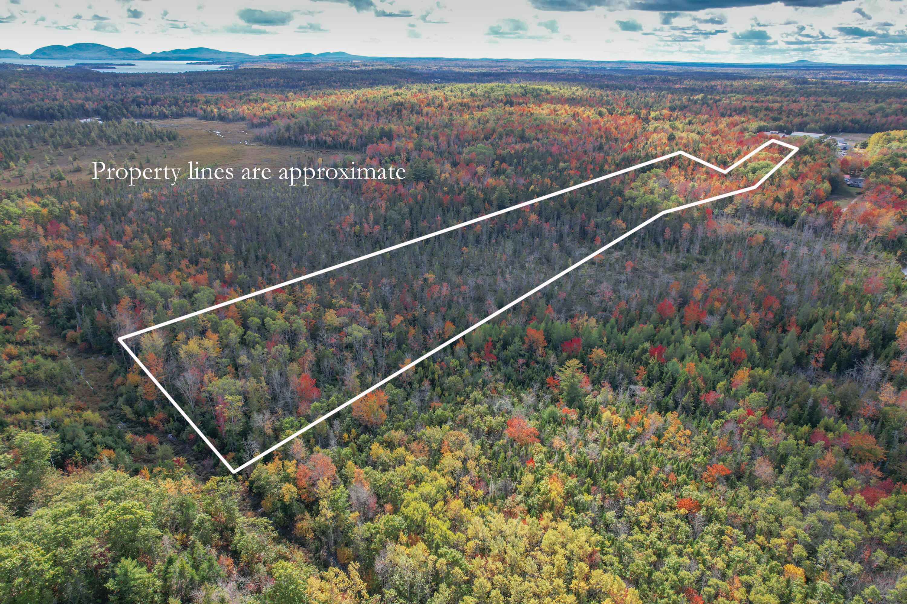 535 Bert Gray Road Sullivan, ME 04664 - Photo 3 of 14 Property lines 2