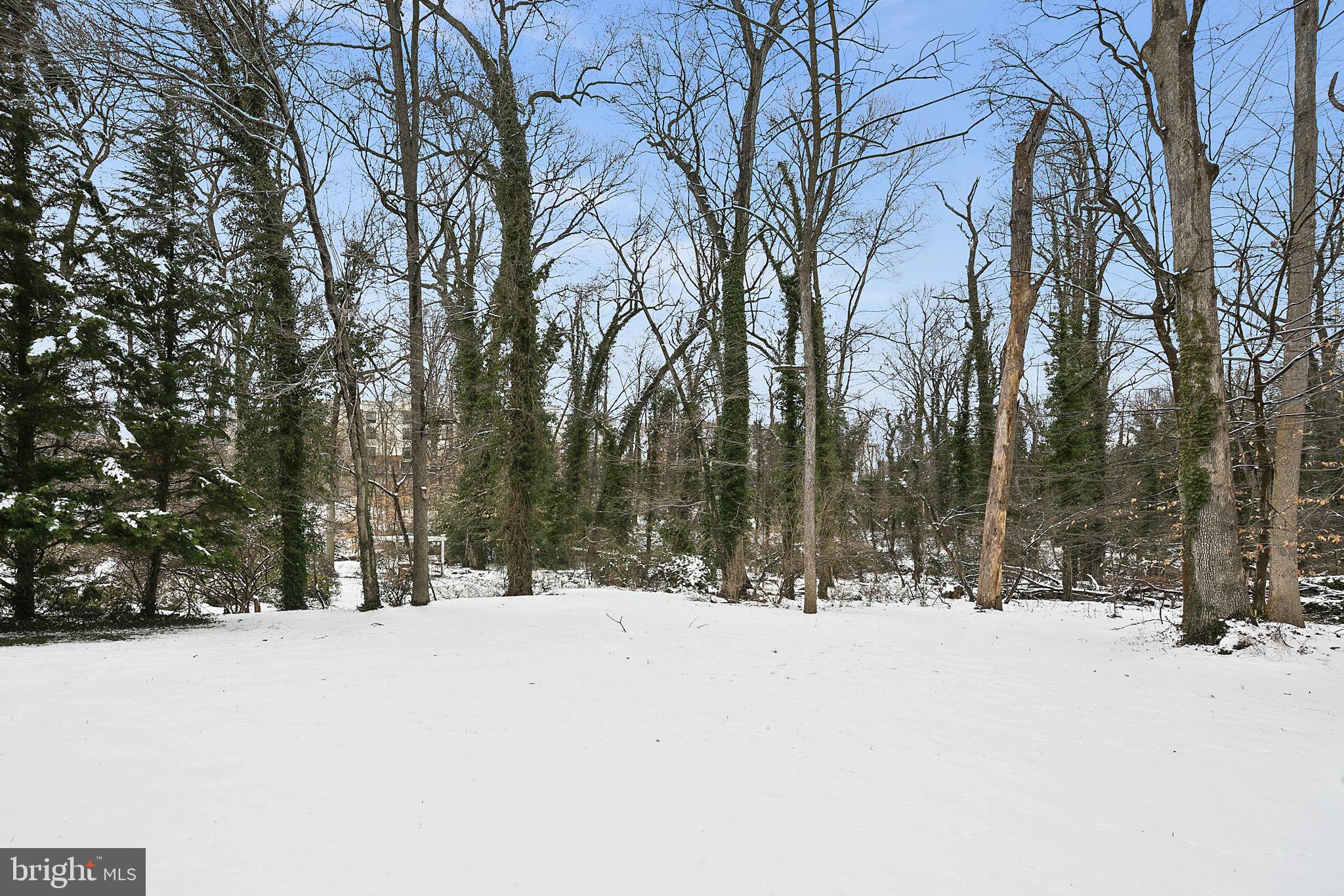 6203 Foxcroft Road Alexandria, VA 22307 - Photo 5 of 50 Gorgeous lot backing to woods