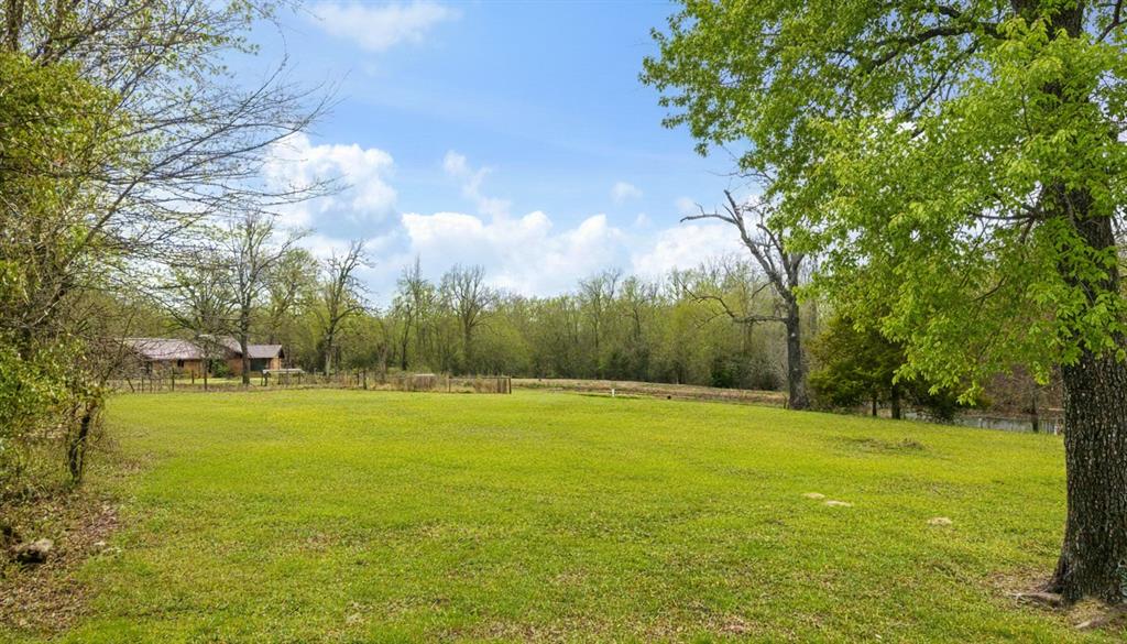 595 County Road Powderly, TX 75473 - Photo 16 of 25 a view of a big yard with an trees
