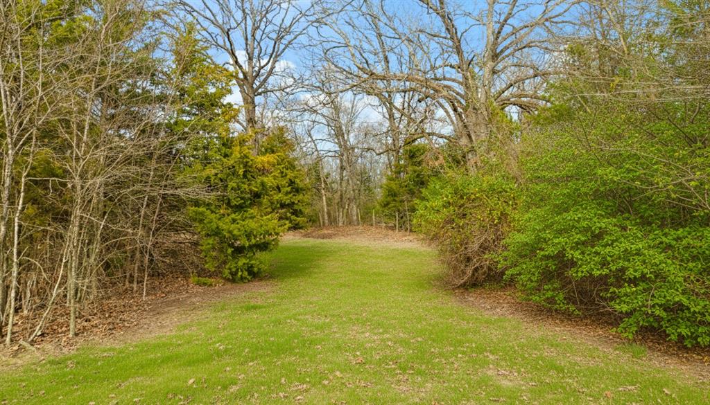 595 County Road Powderly, TX 75473 - Photo 17 of 25 a view of yard with swimming pool and green space