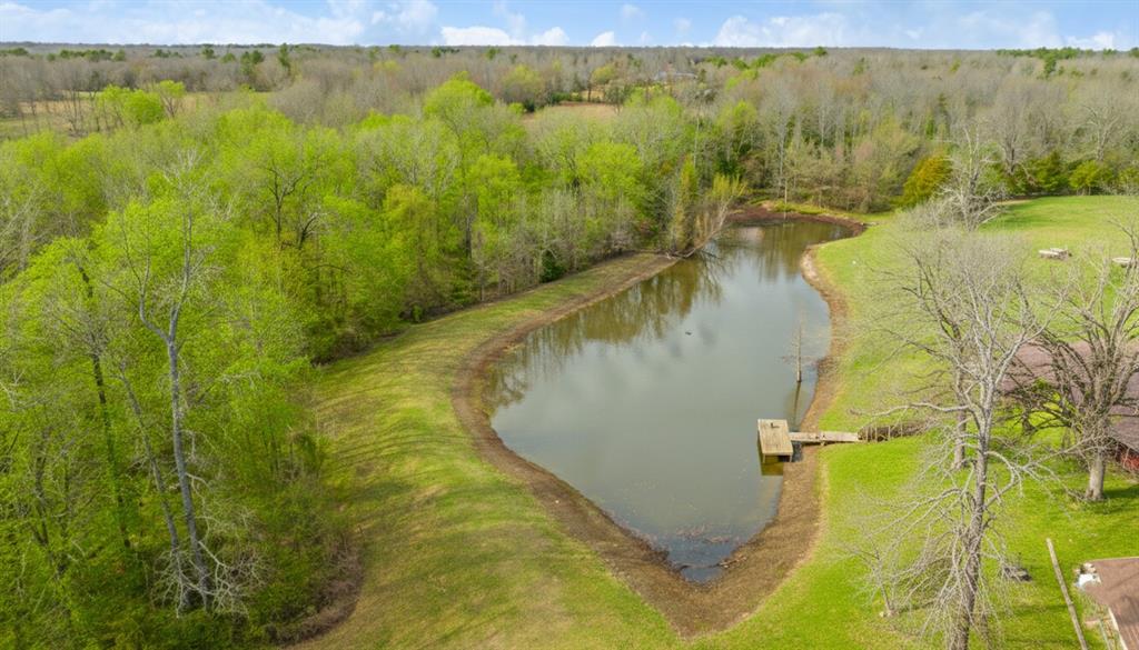 595 County Road Powderly, TX 75473 - Photo 23 of 25 a view of a lake from a yard