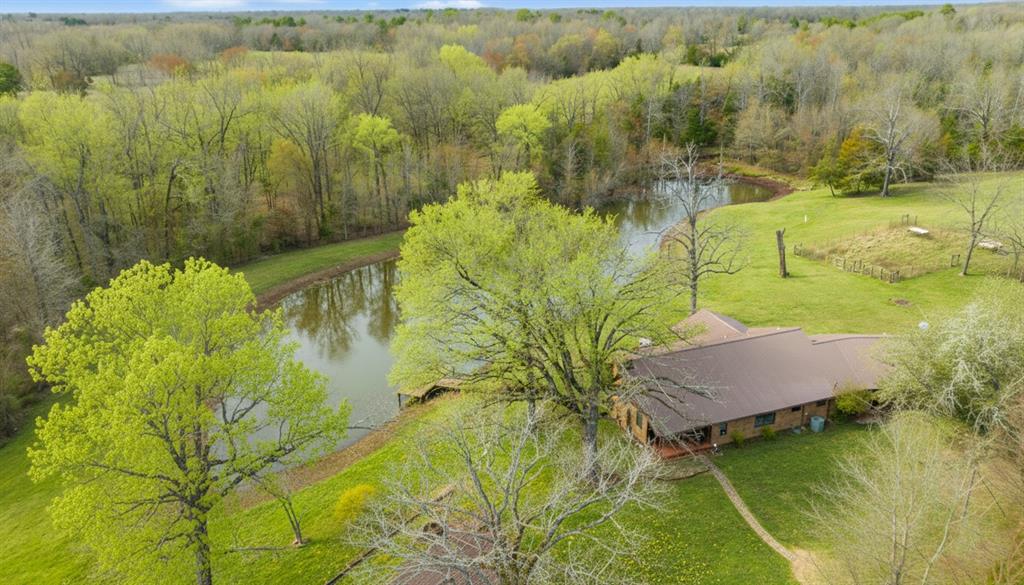 595 County Road Powderly, TX 75473 - Photo 24 of 25 a view of lake view and mountain view