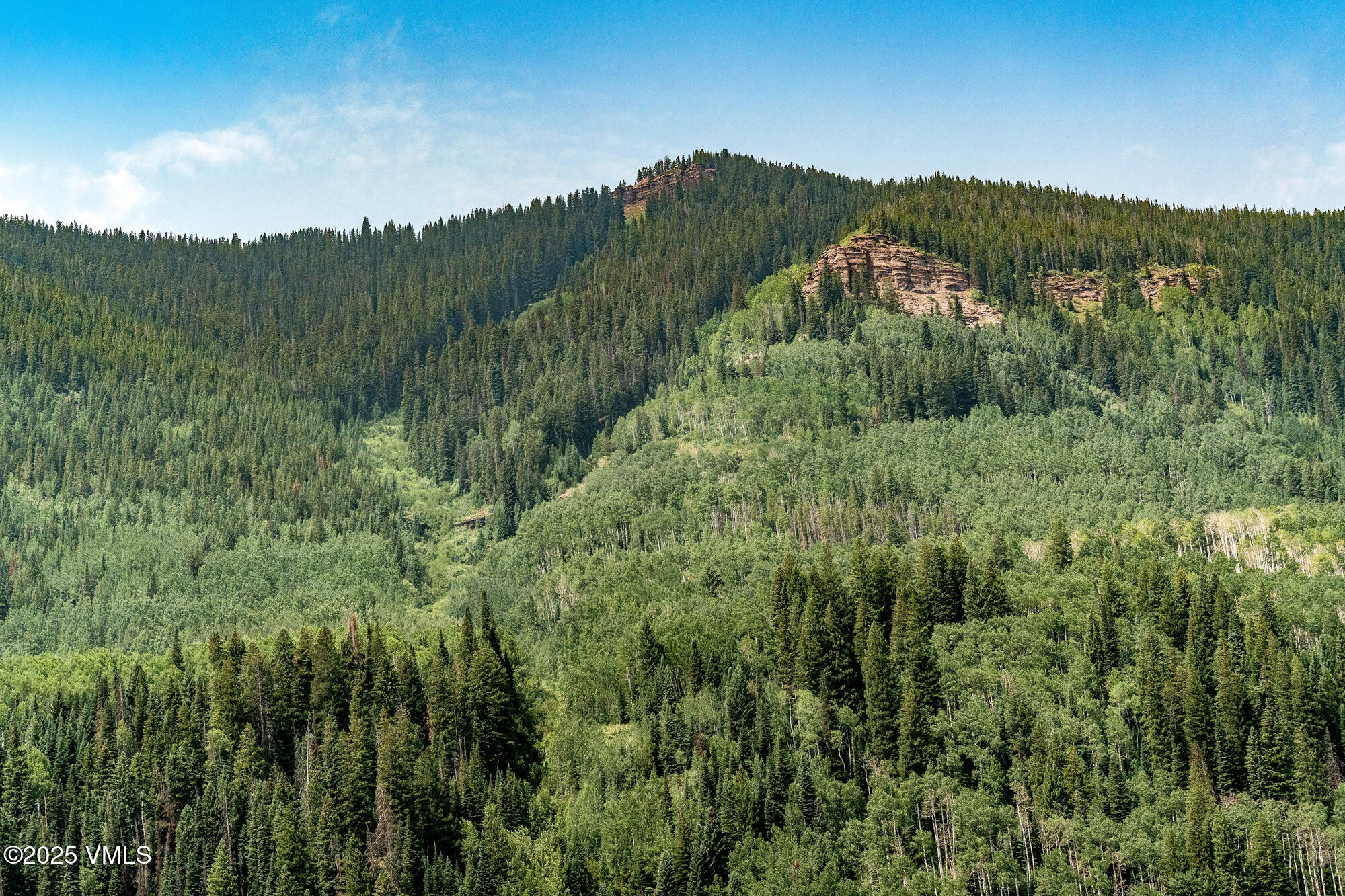 4545 Big Horn Road Vail, CO 81657 - Photo 45 of 49 a view of a green field with mountains in the background