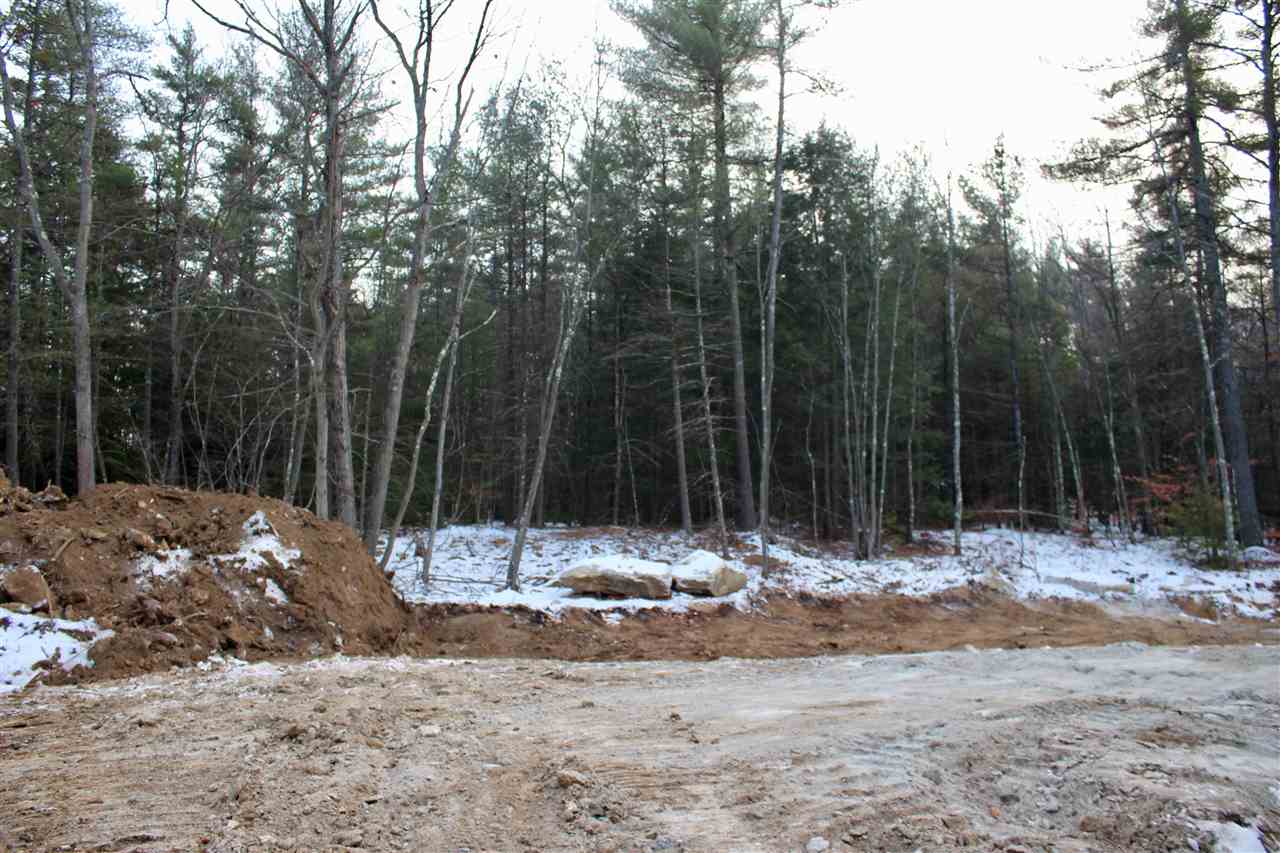 194 Mt Delight Road Deerfield, NH 03037 - Photo 6 of 13