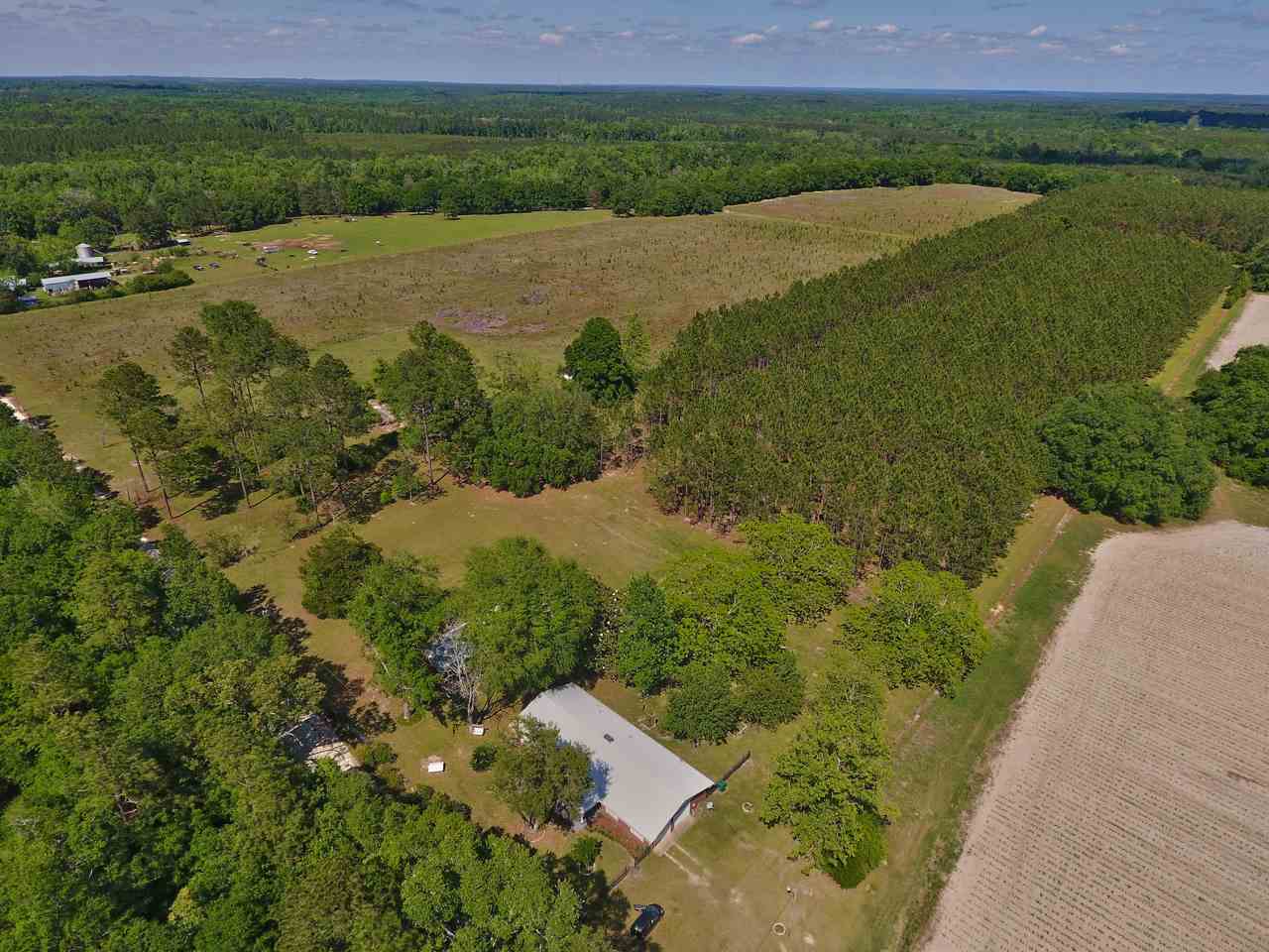 650 Treeline Road Grand Ridge, FL 32442 - Photo 1 of 35 Gallery Image 1