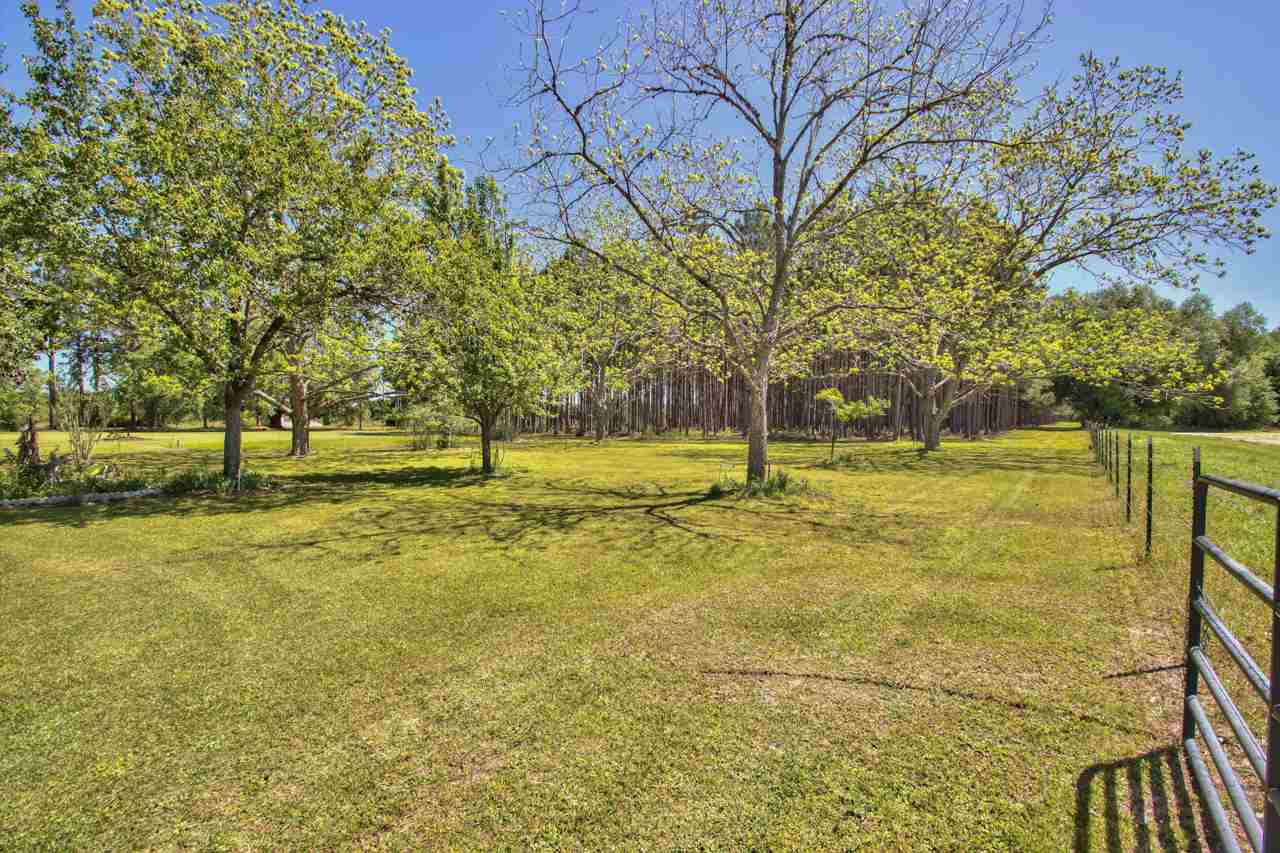 650 Treeline Road Grand Ridge, FL 32442 - Photo 33 of 35 Gallery Image 33