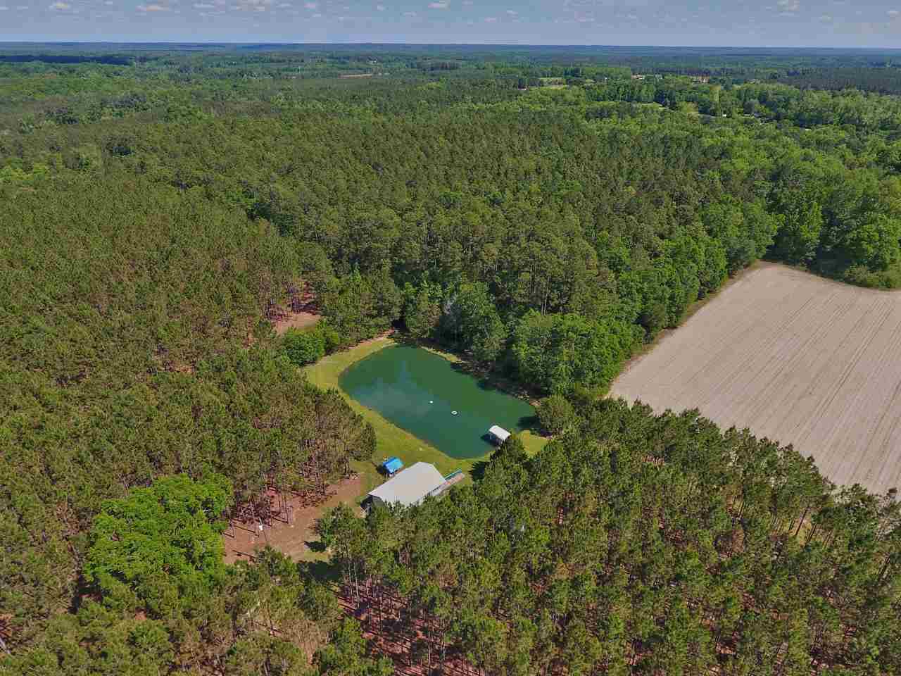 650 Treeline Road Grand Ridge, FL 32442 - Photo 4 of 35 Gallery Image 4