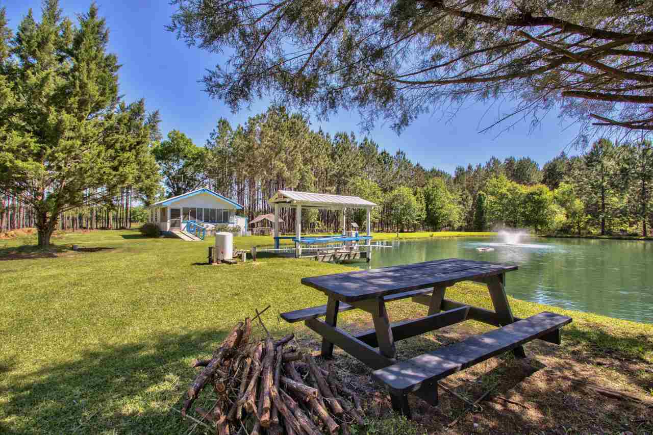 650 Treeline Road Grand Ridge, FL 32442 - Photo 7 of 35 Gallery Image 7