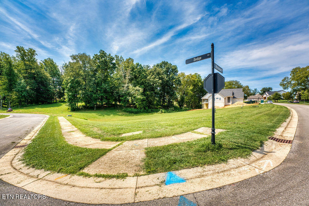 4394 Persimmon Ridge Loudon, TN 37774 - Photo 17 of 35 DSC07422_LuminarNeo-edit