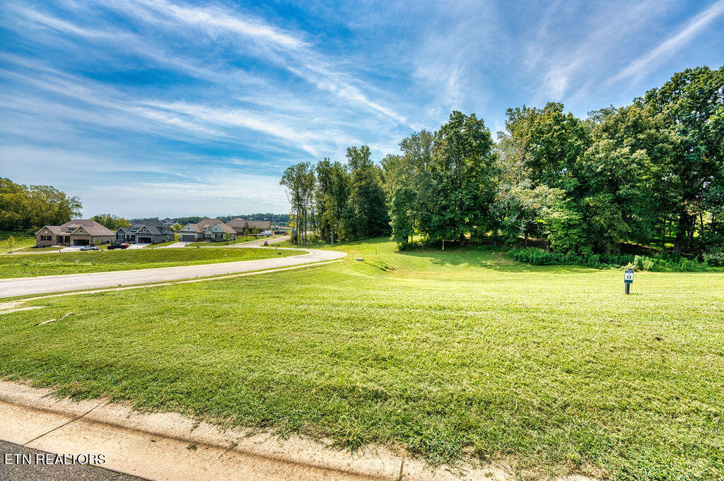 4394 Persimmon Ridge Loudon, TN 37774 - Photo 18 of 35 DSC07427_LuminarNeo-edit