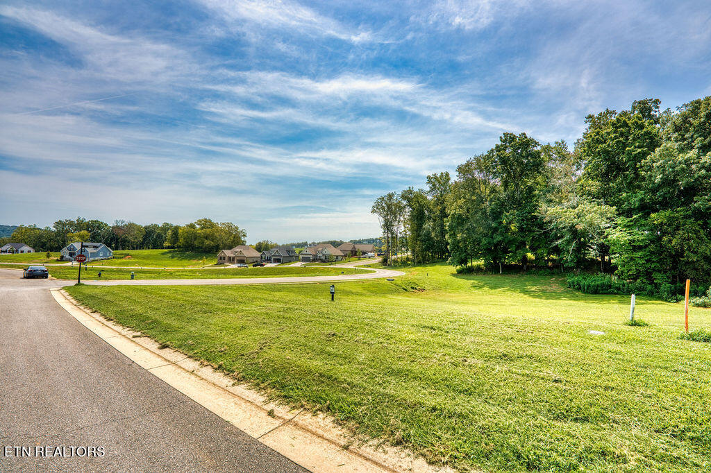 4394 Persimmon Ridge Loudon, TN 37774 - Photo 19 of 35 DSC07432_LuminarNeo-edit