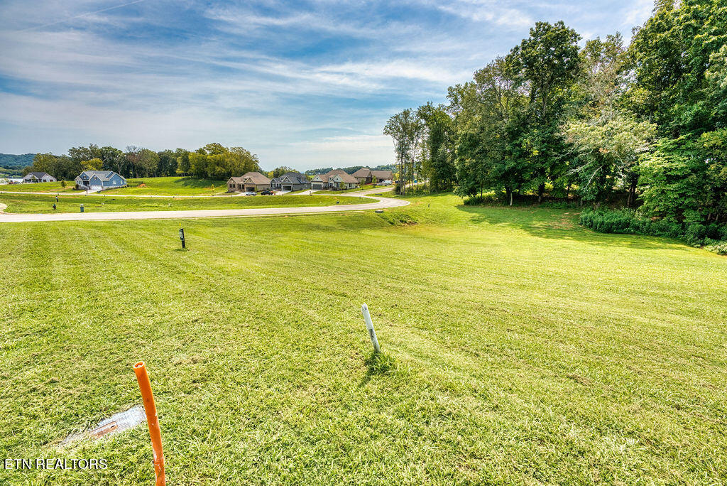 4394 Persimmon Ridge Loudon, TN 37774 - Photo 20 of 35 DSC07437_LuminarNeo-edit
