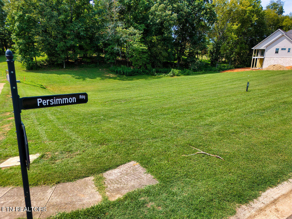 4394 Persimmon Ridge Loudon, TN 37774 - Photo 8 of 35 DJI_20240813000244_0440_D_LuminarNeo-edi