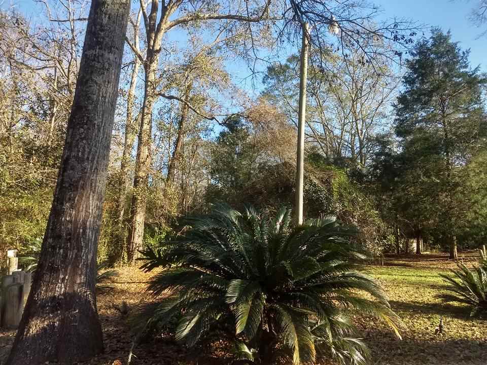 21209 Oak Ridge Drive Robertsdale, AL 36567 - Photo 9 of 28