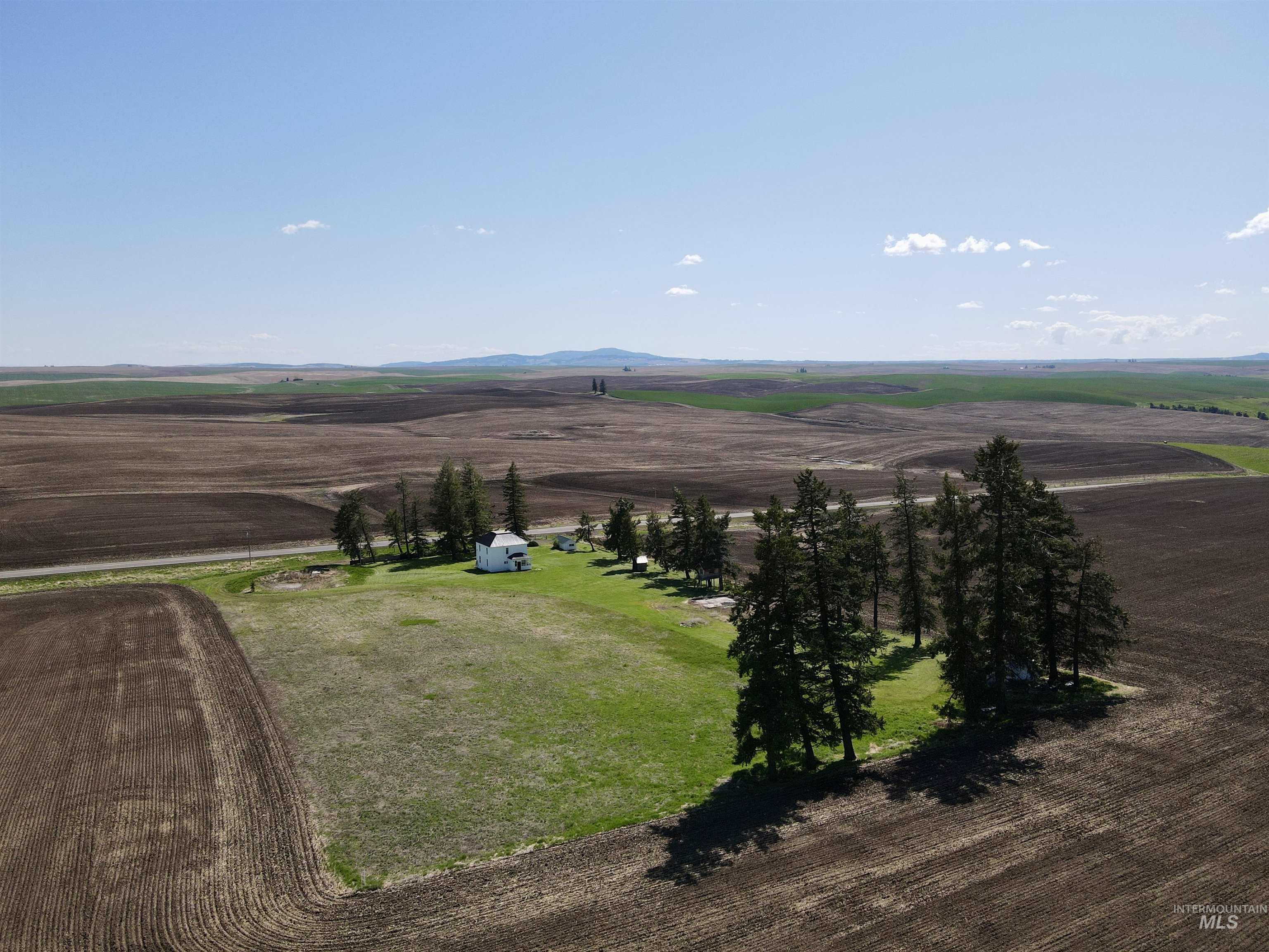 2245 Highway 62 Nezperce, ID 83543 - Photo 44 of 50